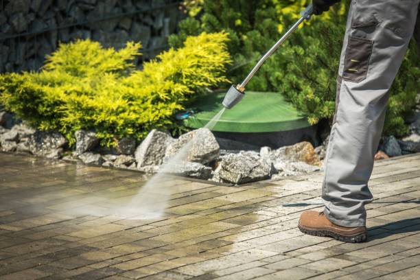 Best Animal Enclosure Cleaning  in Milpitas, CA